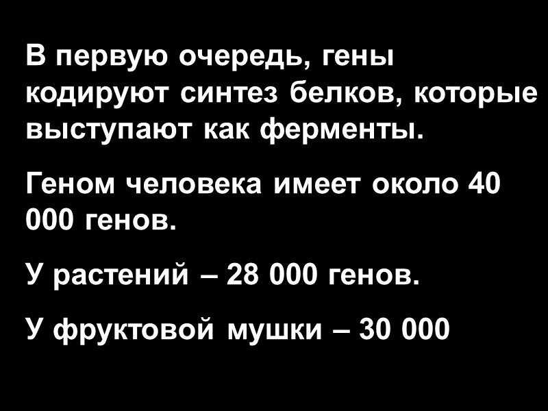 В первую очередь, гены кодируют синтез белков, которые выступают как ферменты. Геном человека имеет